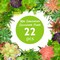 22PCS Colorful Artificial Succulent Plants for Small Potted Plants, Mini Fake Succulents for DIY Crafts, Home Garden, Office, Party & Table Decorations (No Pots)